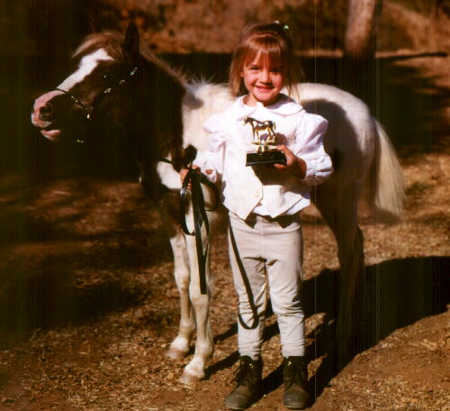 cheyenne arabians