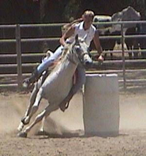 horseback riding lessons