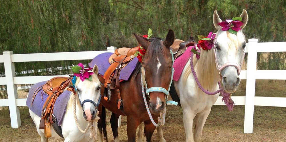 San Diego Pony Rides