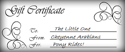 Pony Ride Gift Certificate